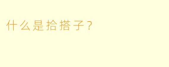 什么是拾搭子？
