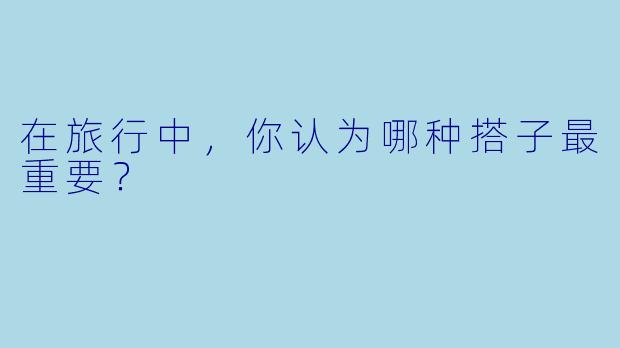 在旅行中，你认为哪种搭子最重要？
