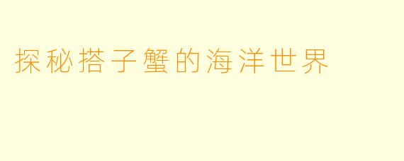 探秘搭子蟹的海洋世界