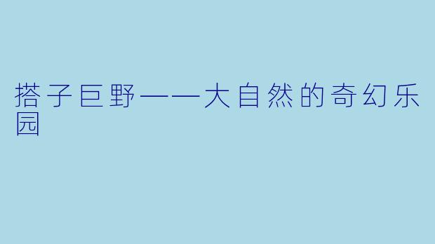 搭子巨野——大自然的奇幻乐园