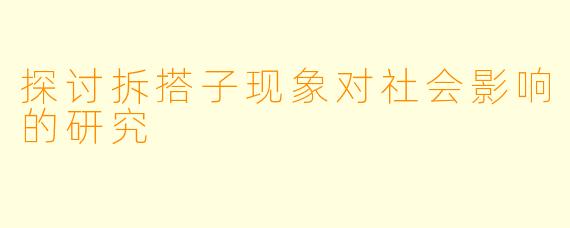 探讨拆搭子现象对社会影响的研究
