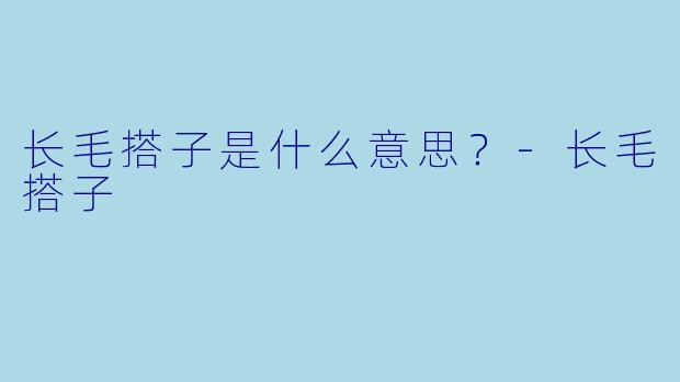 长毛搭子是什么意思？