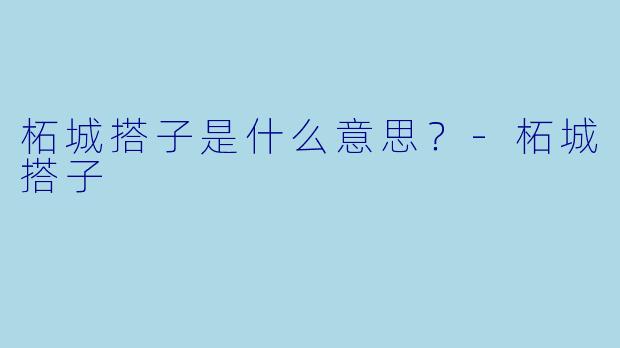 柘城搭子是什么意思？