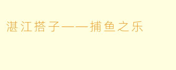 湛江搭子——捕鱼之乐