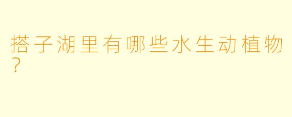 搭子湖里有哪些水生动植物？