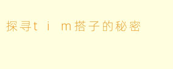 探寻tim搭子的秘密