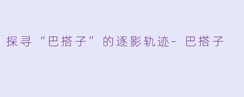 探寻“巴搭子”的逐影轨迹-巴搭子