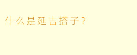 什么是延吉搭子？
