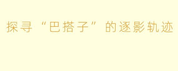 探寻“巴搭子”的逐影轨迹