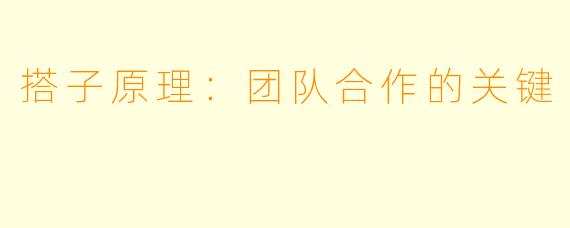 搭子原理：团队合作的关键