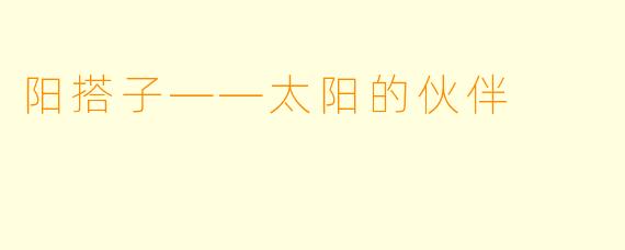 阳搭子——太阳的伙伴
