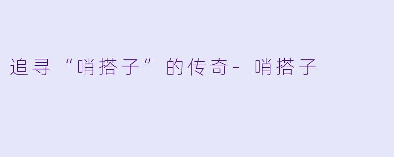 追寻“哨搭子”的传奇-哨搭子