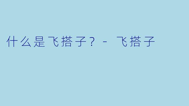 什么是飞搭子？