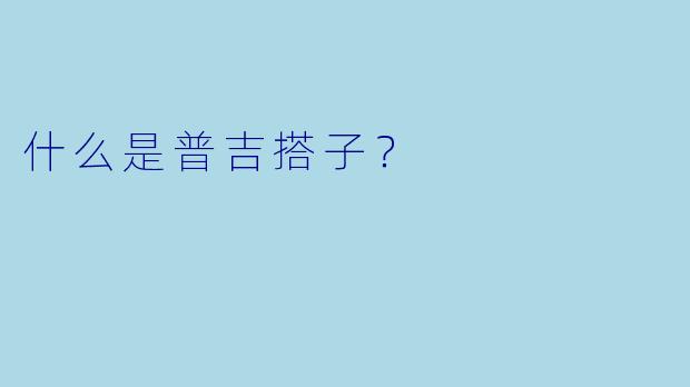 什么是普吉搭子？