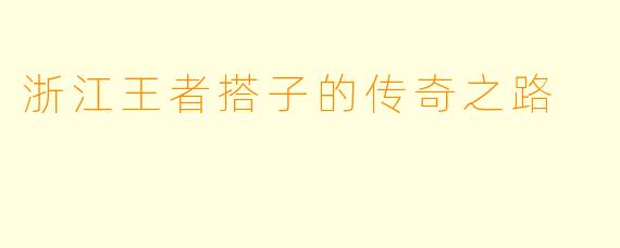 浙江王者搭子的传奇之路