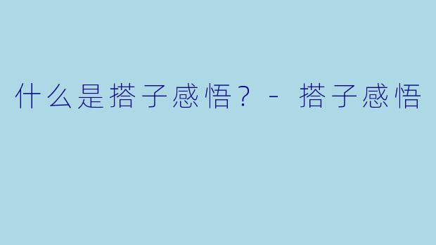 什么是搭子感悟？
