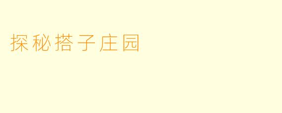 探秘搭子庄园