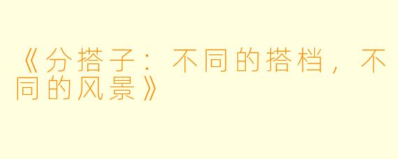 《分搭子:不同的搭档,不同的风景》