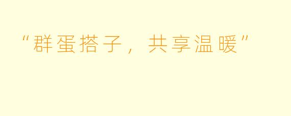 “群蛋搭子，共享温暖”