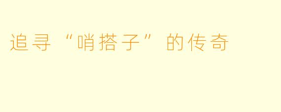 追寻“哨搭子”的传奇