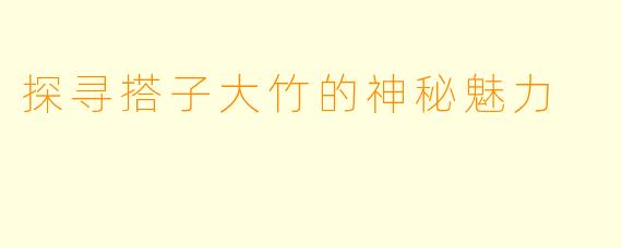 探寻搭子大竹的神秘魅力