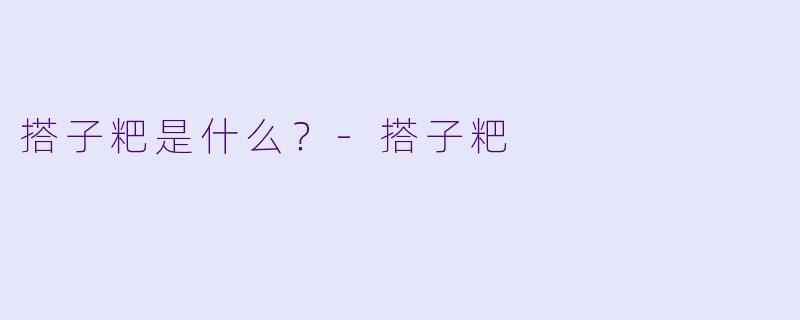 搭子粑是什么？