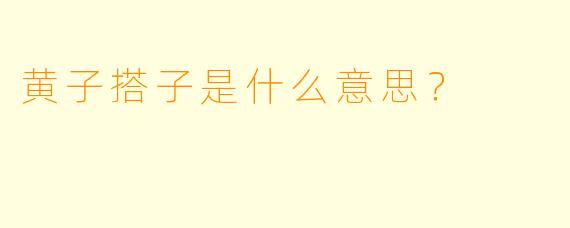 黄子搭子是什么意思？