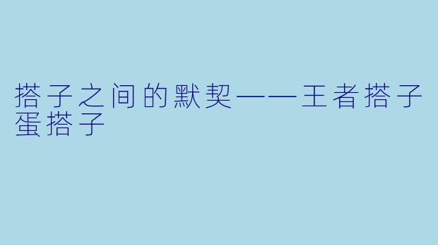 搭子之间的默契——王者搭子蛋搭子