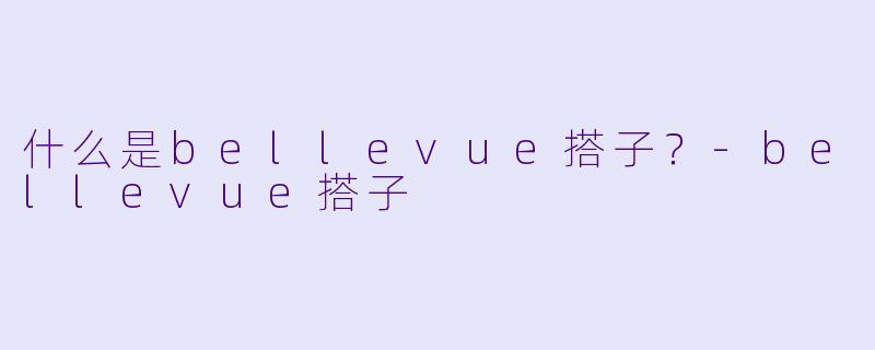 什么是bellevue搭子？