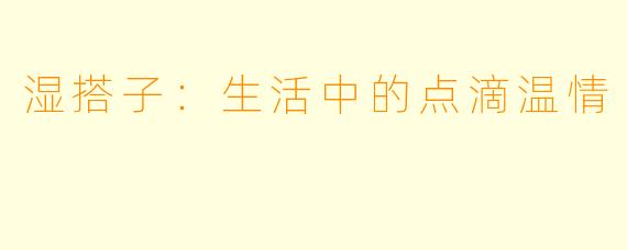 湿搭子：生活中的点滴温情