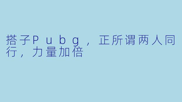 搭子Pubg，正所谓两人同行，力量加倍