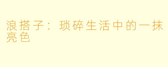 浪搭子：琐碎生活中的一抹亮色
