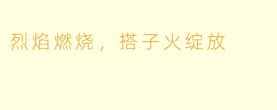 烈焰燃烧，搭子火绽放