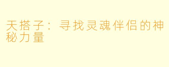 天搭子:寻找灵魂伴侣的神秘力量