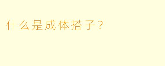 什么是成体搭子？