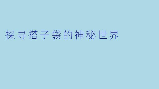探寻搭子袋的神秘世界