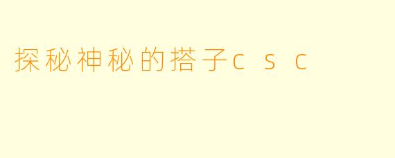 探秘神秘的搭子csc