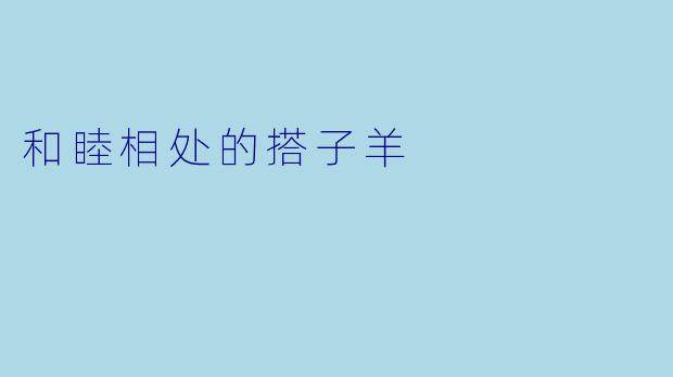 和睦相处的搭子羊