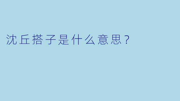 沈丘搭子是什么意思？