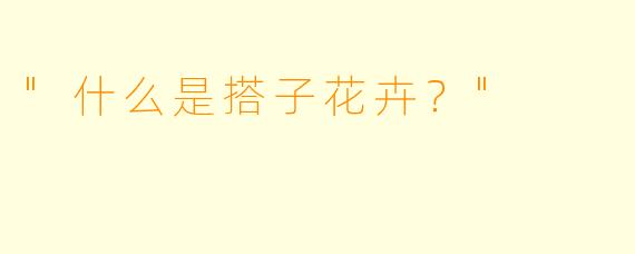 "什么是搭子花卉？"