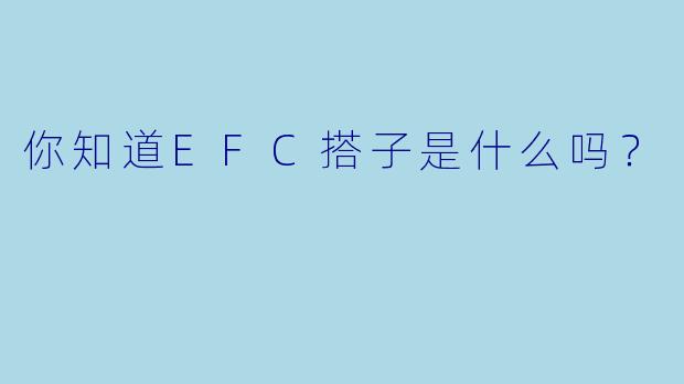 你知道EFC搭子是什么吗？  