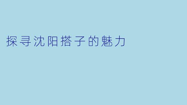 探寻沈阳搭子的魅力