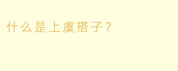 什么是上虞搭子？