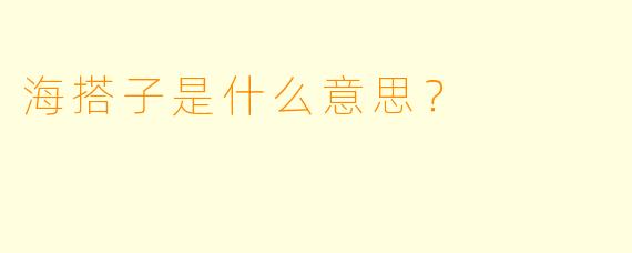 海搭子是什么意思？