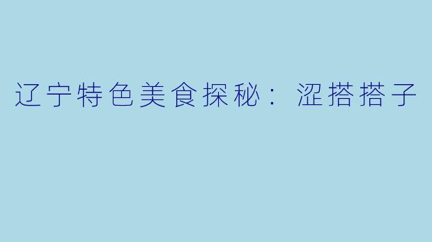 辽宁特色美食探秘：涩搭搭子