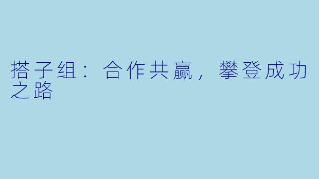 搭子组：合作共赢，攀登成功之路