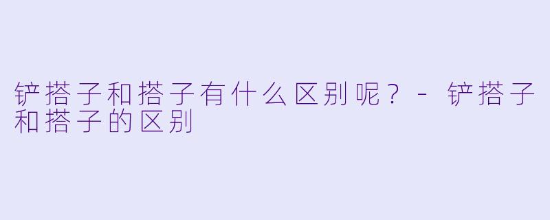 铲搭子和搭子有什么区别呢？