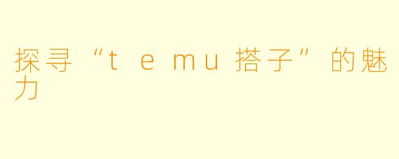 探寻“temu搭子”的魅力