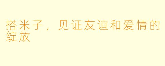 搭米子，见证友谊和爱情的绽放