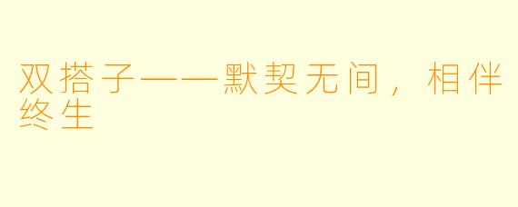 双搭子——默契无间，相伴终生